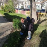 IMG-7c06e7b3bee226a37d472ebc1e640c61-V