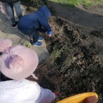 IMG-7d4cc66f3ed4613f2d1916b770baac69-V